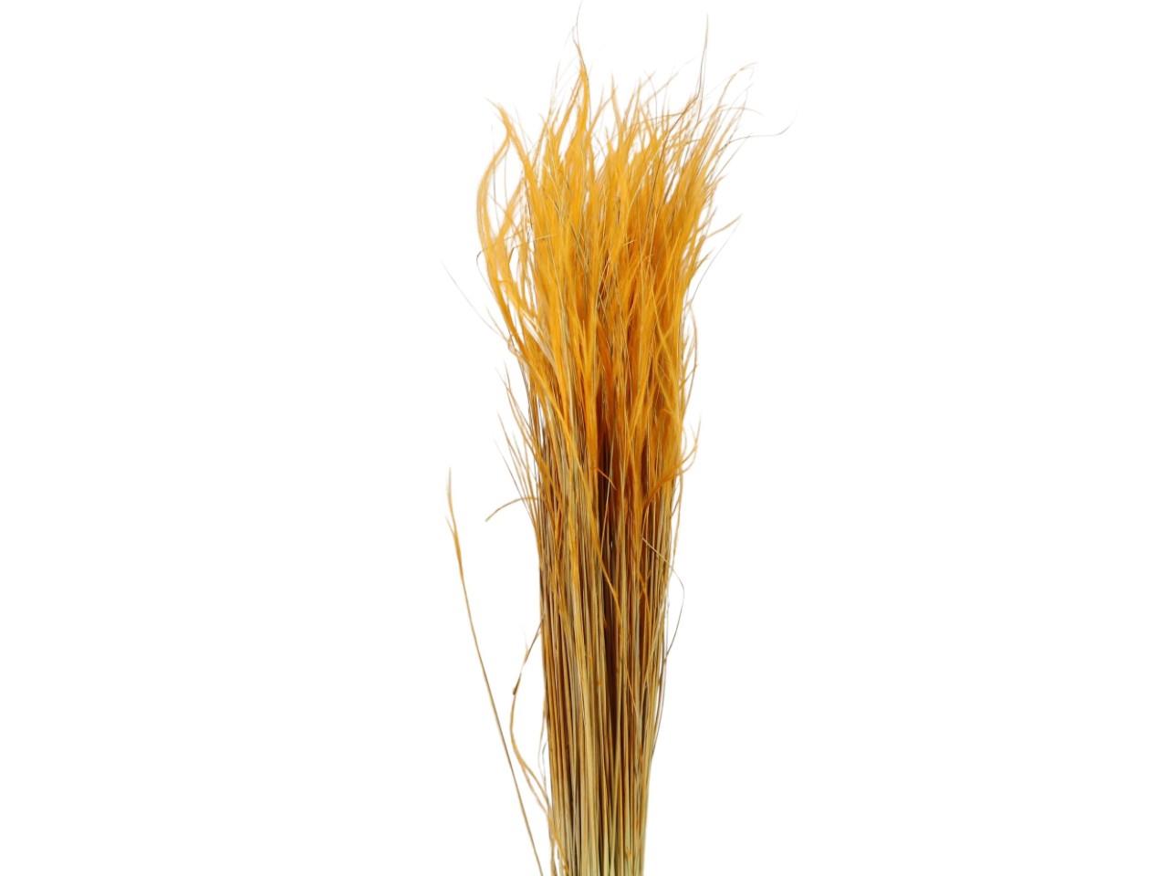 Stypa Pennata mit Stroh apricot 41/P 50gr.