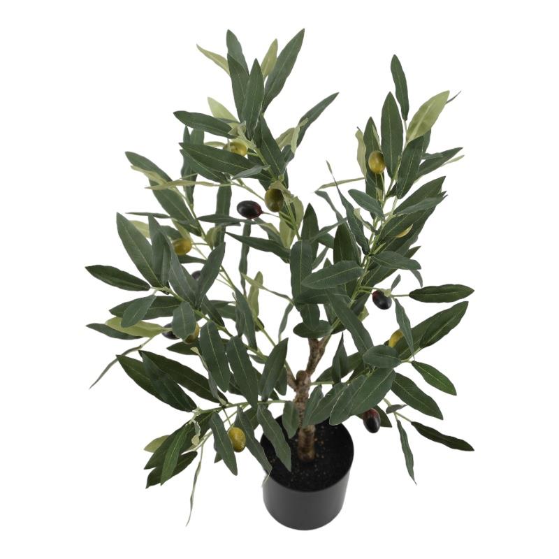 Olivenbaum 64 cm i. Topf grün