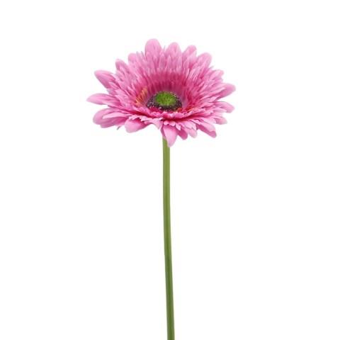 Gerbera 62 cm purple