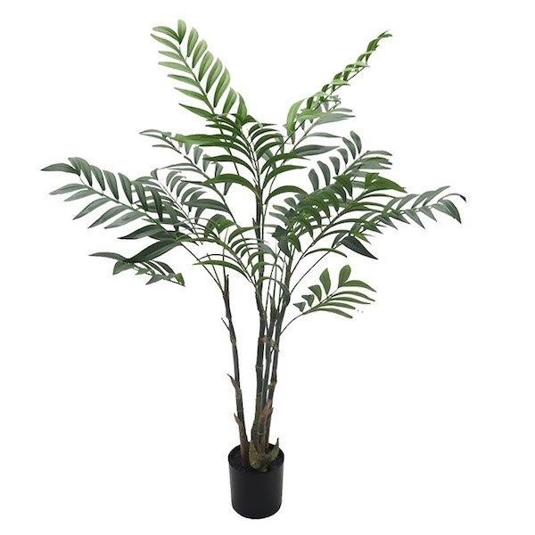 Topfpflanze Arecapalme H90cm grün NETTO