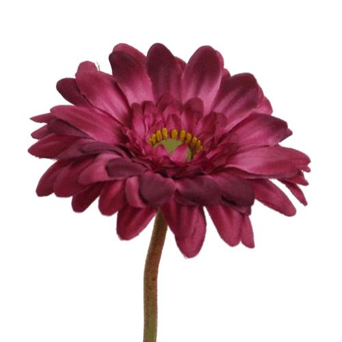 Gerbera Mini D7cm H47cm purple