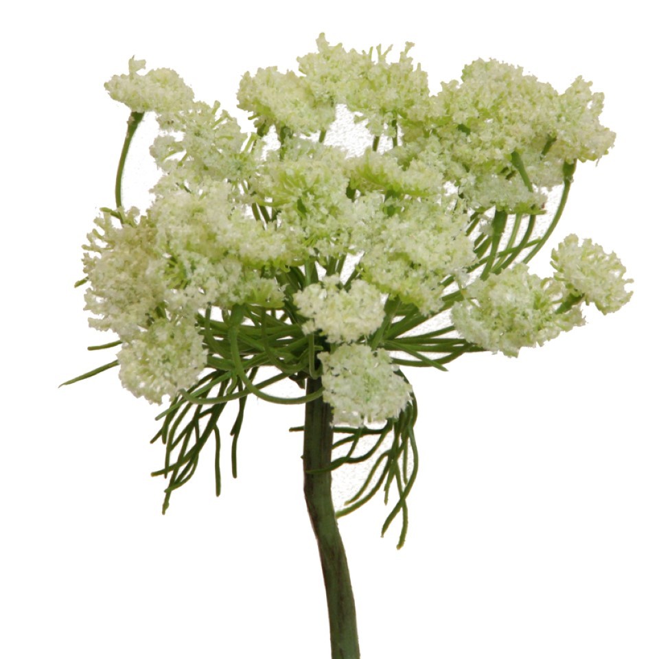 Wilde Möhre Zweig creme H58cm
