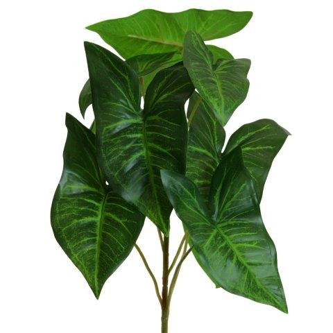 Syngonium Busch gürn 46cm