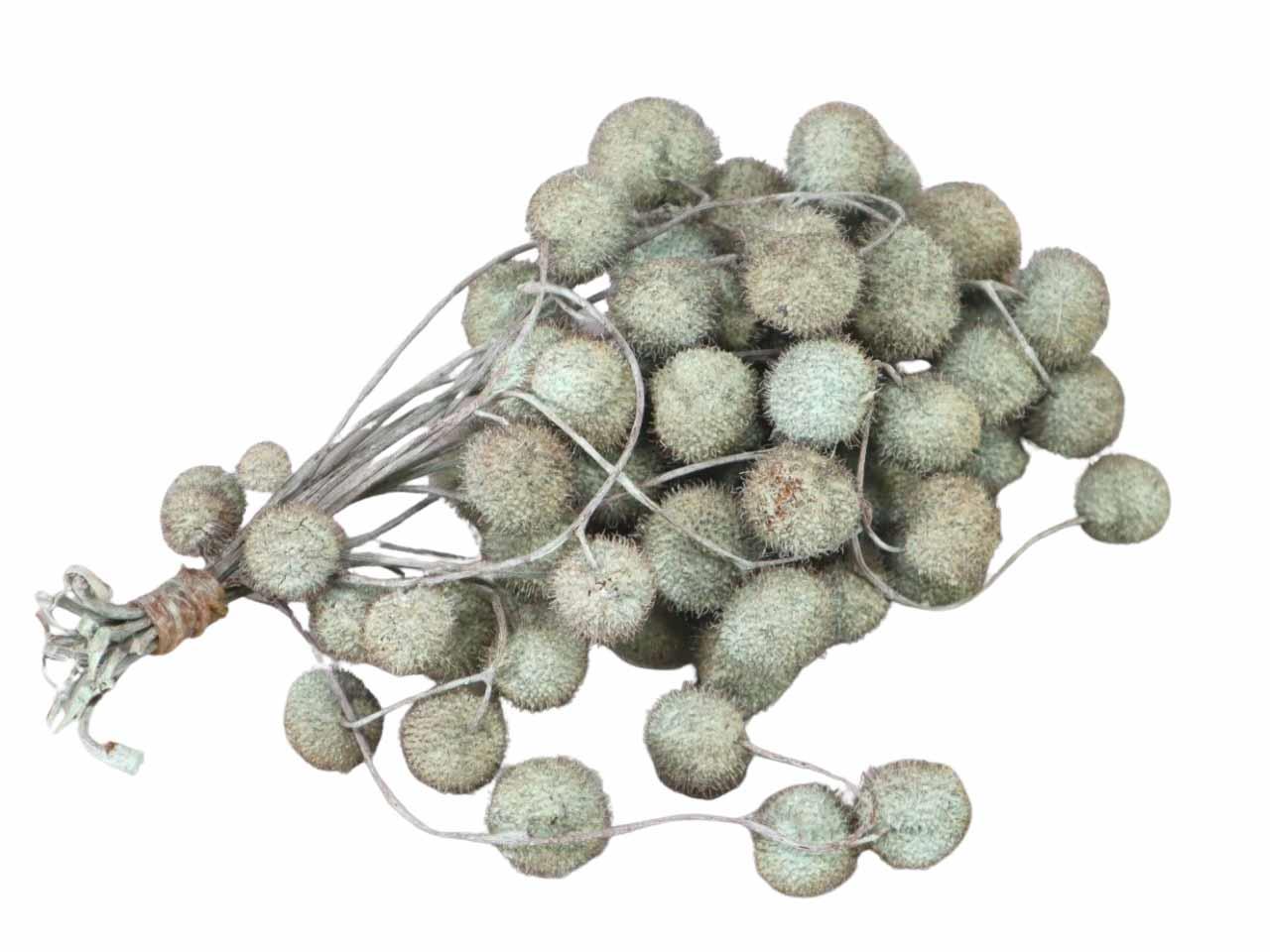 Plane ball 250gr. 1 Bündel apfelgrün (mintgrün)