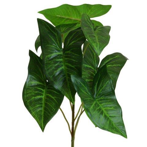 Syngonium Busch gürn 46cm