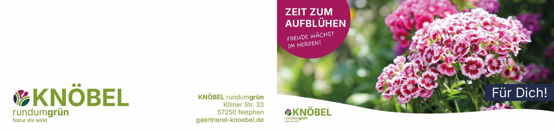ekaflor Gutschein Zeit zum Aufblühen
