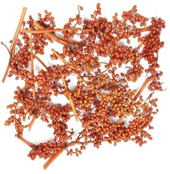 Canella spezial große Beeren orange