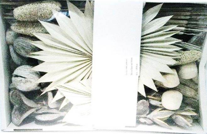 Exotensortiment indisch white-washed groß 100 Stück