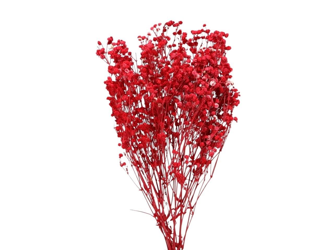 Gypsophila konserviert rot 110g Lca.70-80cm
