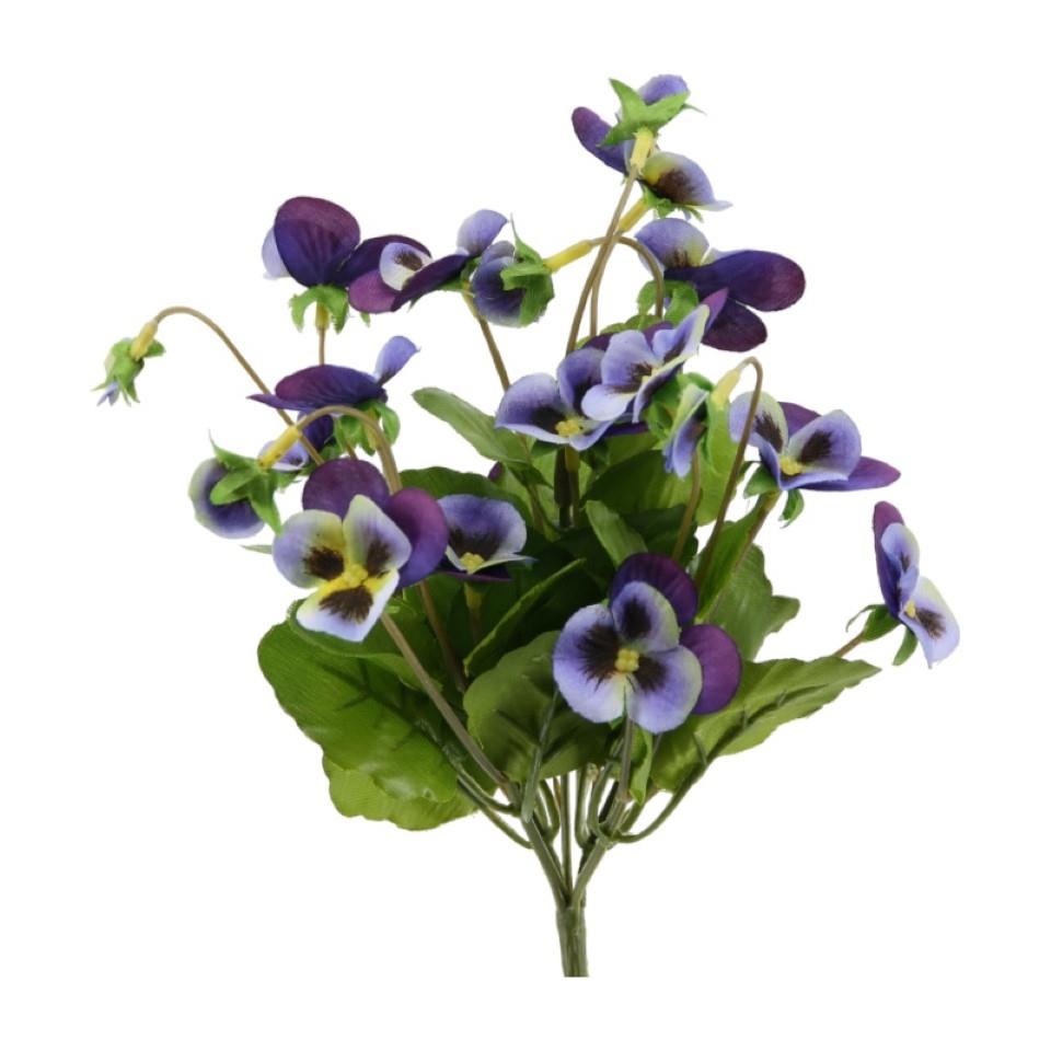 Hornveilchenbusch 5fach blau H21 cm