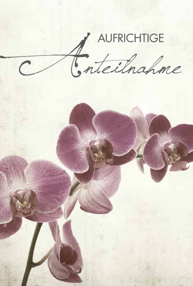 Trauerkarten Aufrichtige Anteilnahme 11,5x17 cm