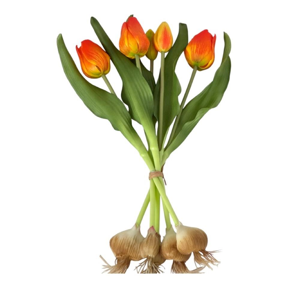 Tulpenbund 5fach soft touch m. Zwiebel orange L31cm
