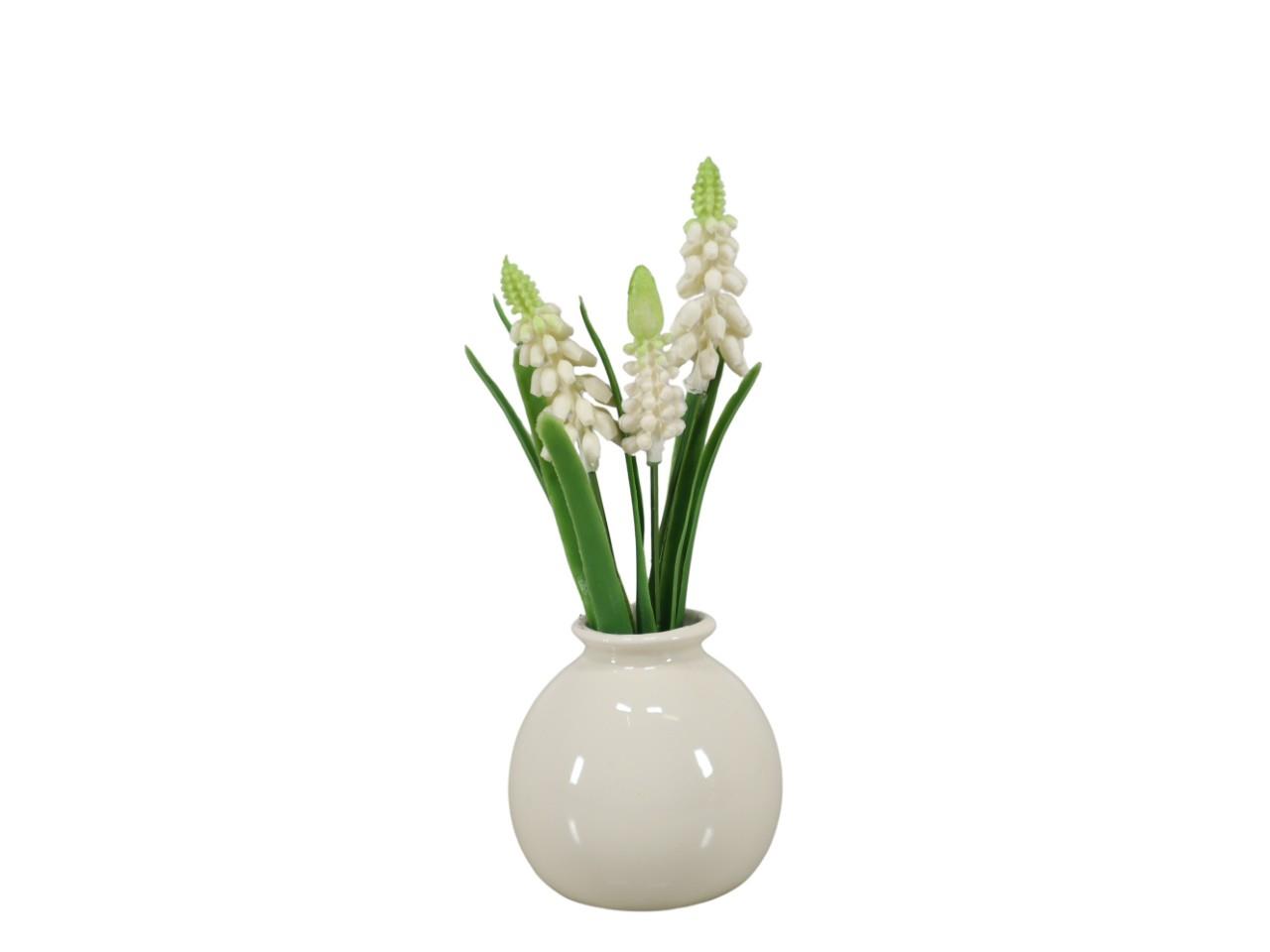 Traubenhyazinthe im Keramikväschen creme H19cm