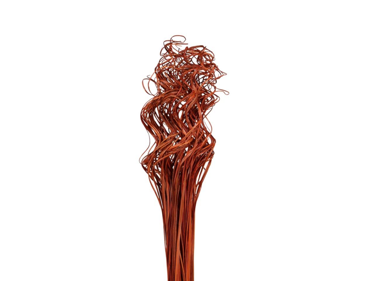 Curly Ting Ting 80cm 100St. orange