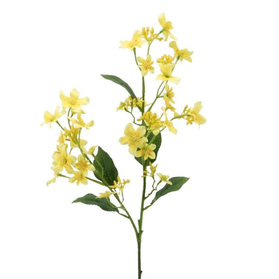 Verniciazweig 63 cm gelb