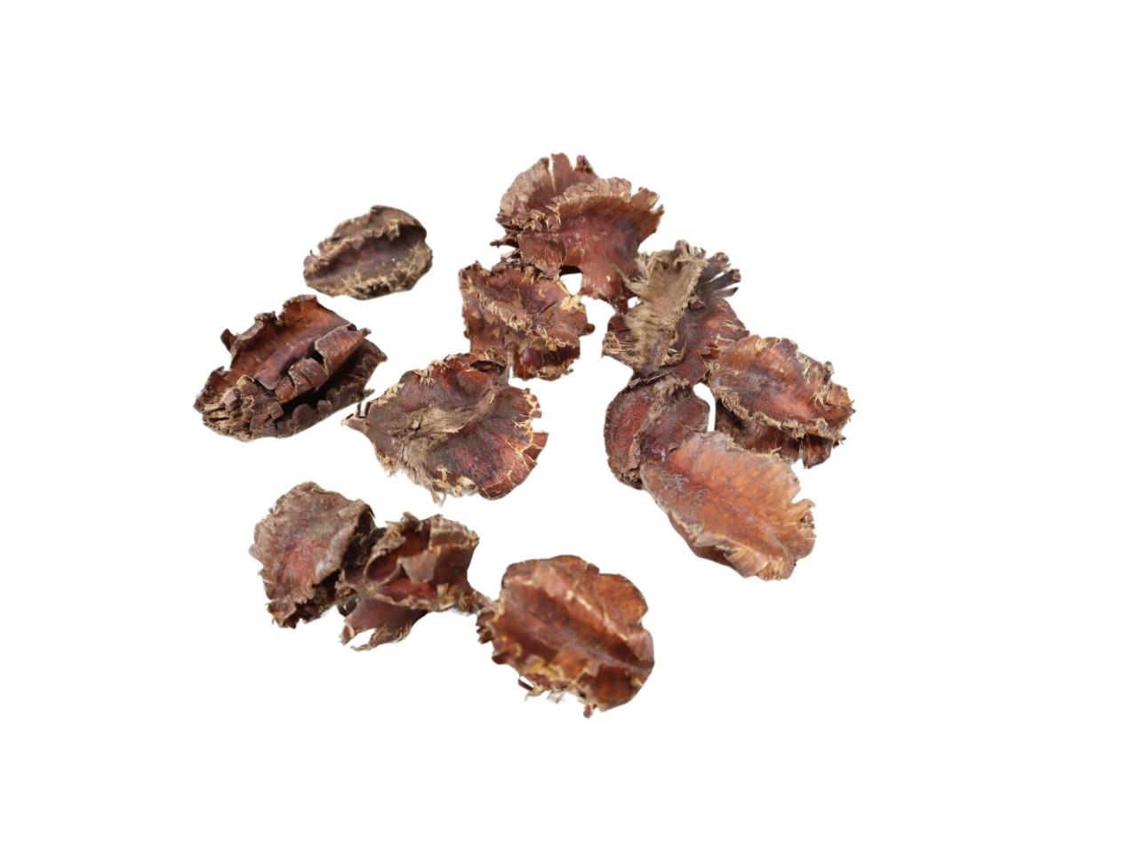 Arjuna Frucht natur 1kg