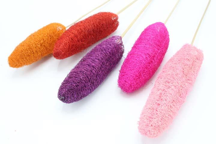 Luffa farbig sort. gestielt 10-15cm