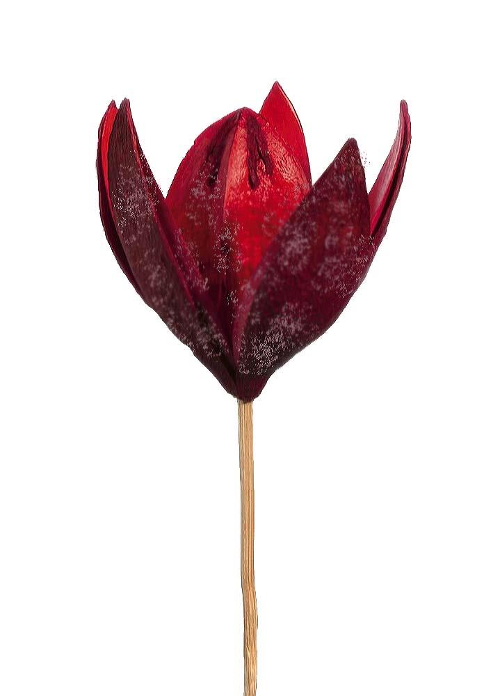 Wildlilie gestielt B8H6L45 rot frosted