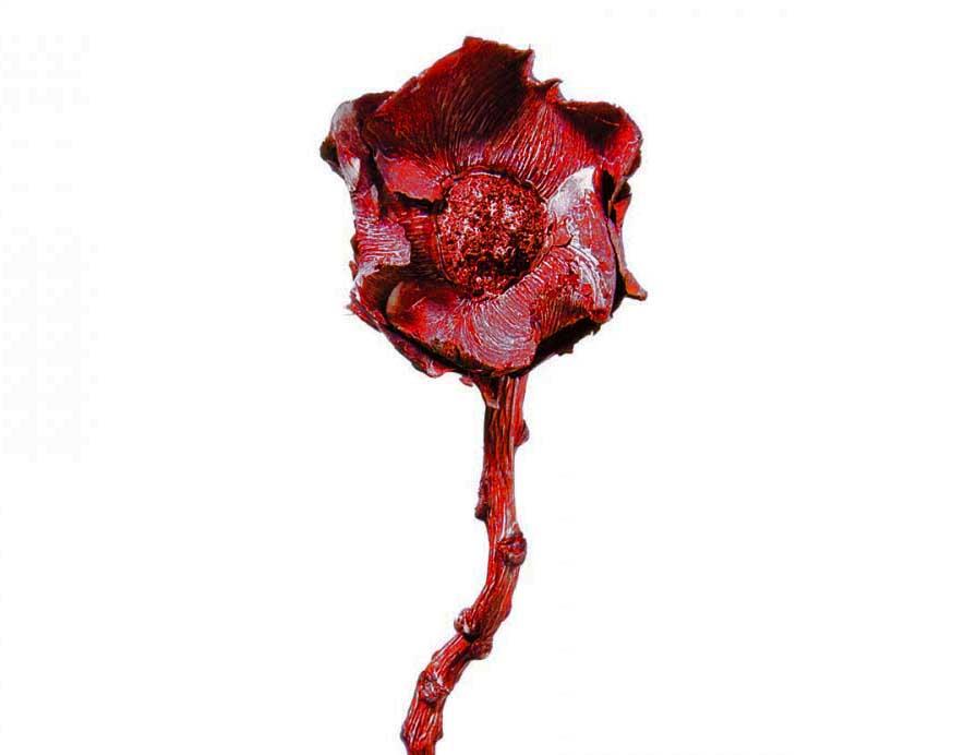 Coco Rose am Naturstiel D6L25cm rot frosted