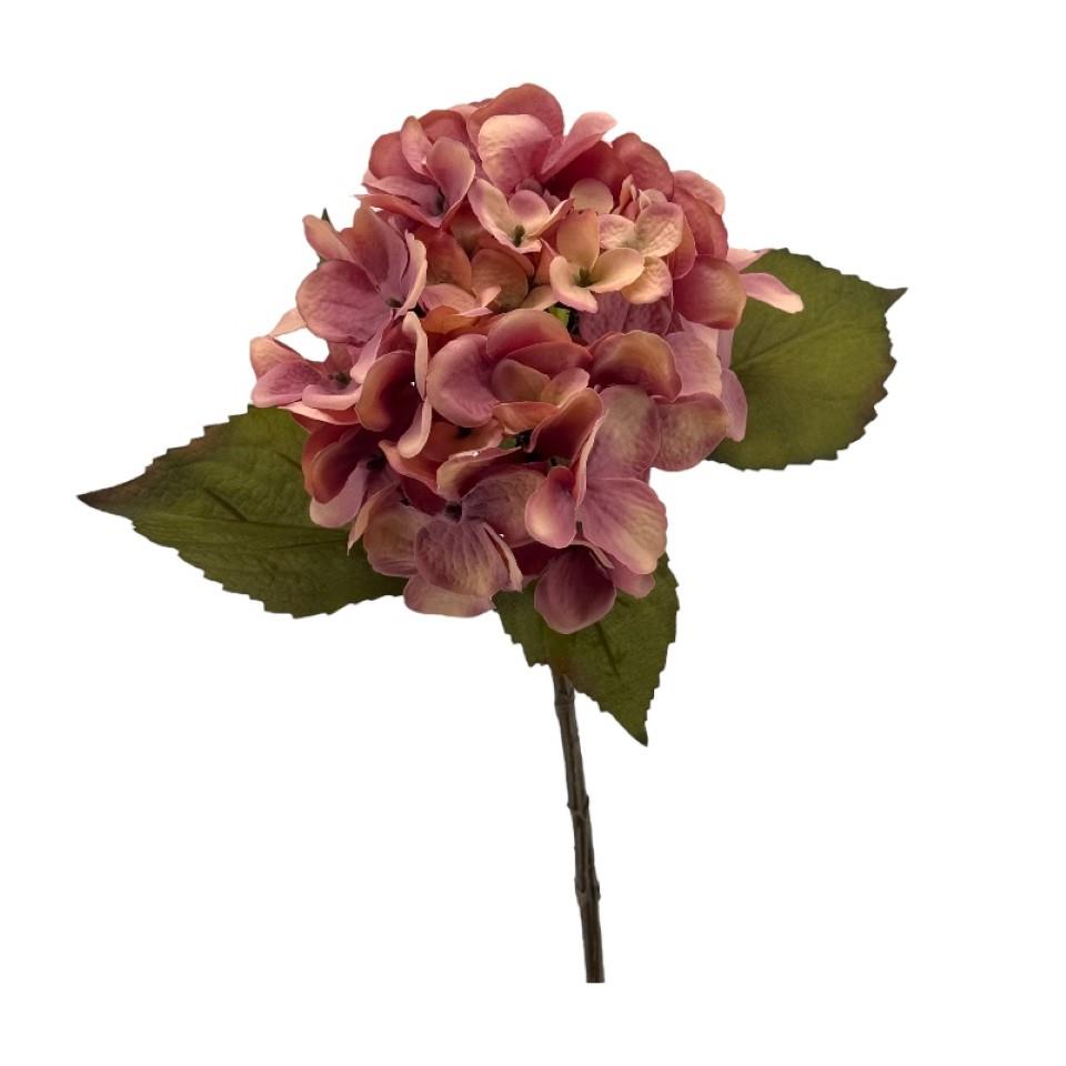 Hortensie "Dry Look" altrosa H54cm