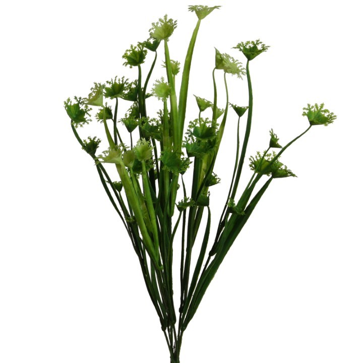 Trichtergrasbusch 40 cm grün