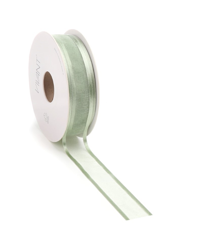 Band Prego Organza/Satinrand 22 mm 25 Meter mint Farbe 60