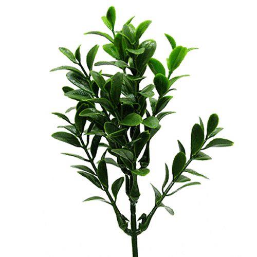 Buchspick x 8 Spitzen H19cm grün