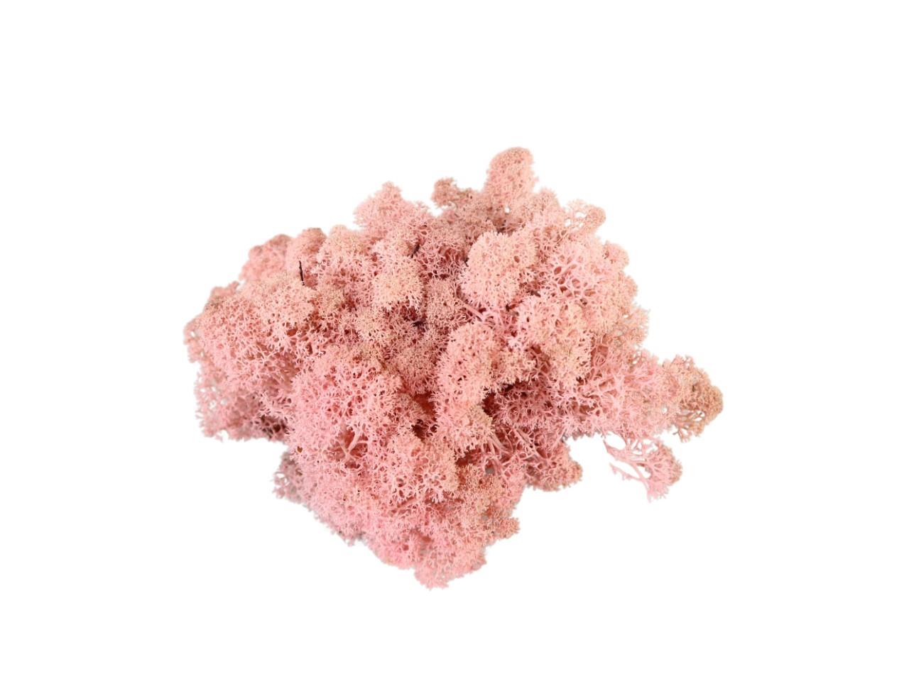 Islandmoos 500gr. rosa