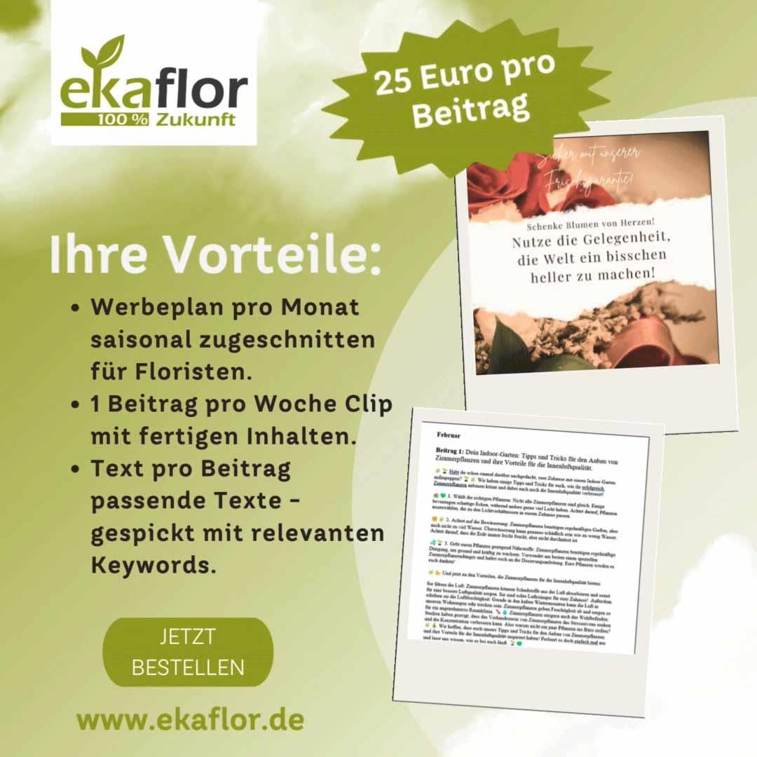 ekaflor Frühlingspaket Social-Media-Kampagnen für Floristen