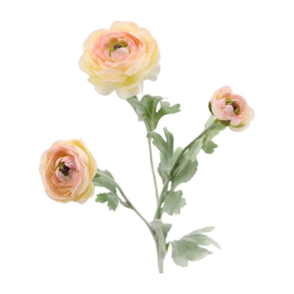 Ranunkelzweig 2Blüten, 1 Knospe peach-rosa H50cm