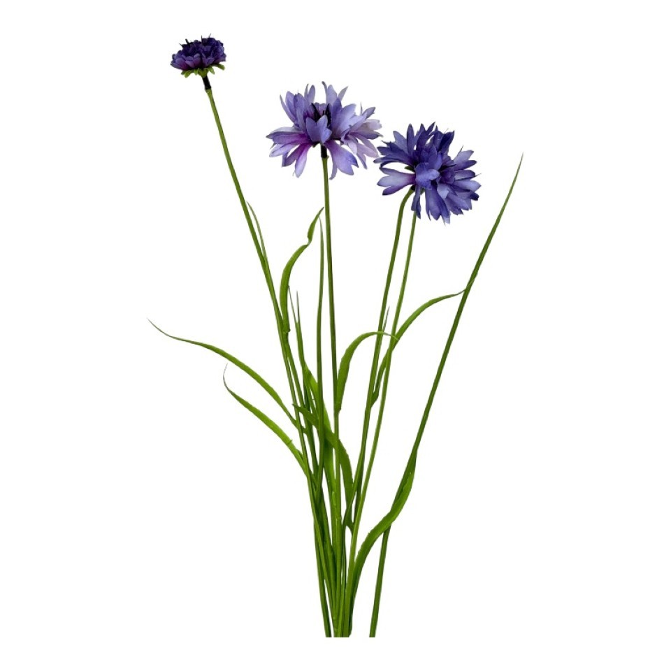 Kornblume m. Gras lila L69cm