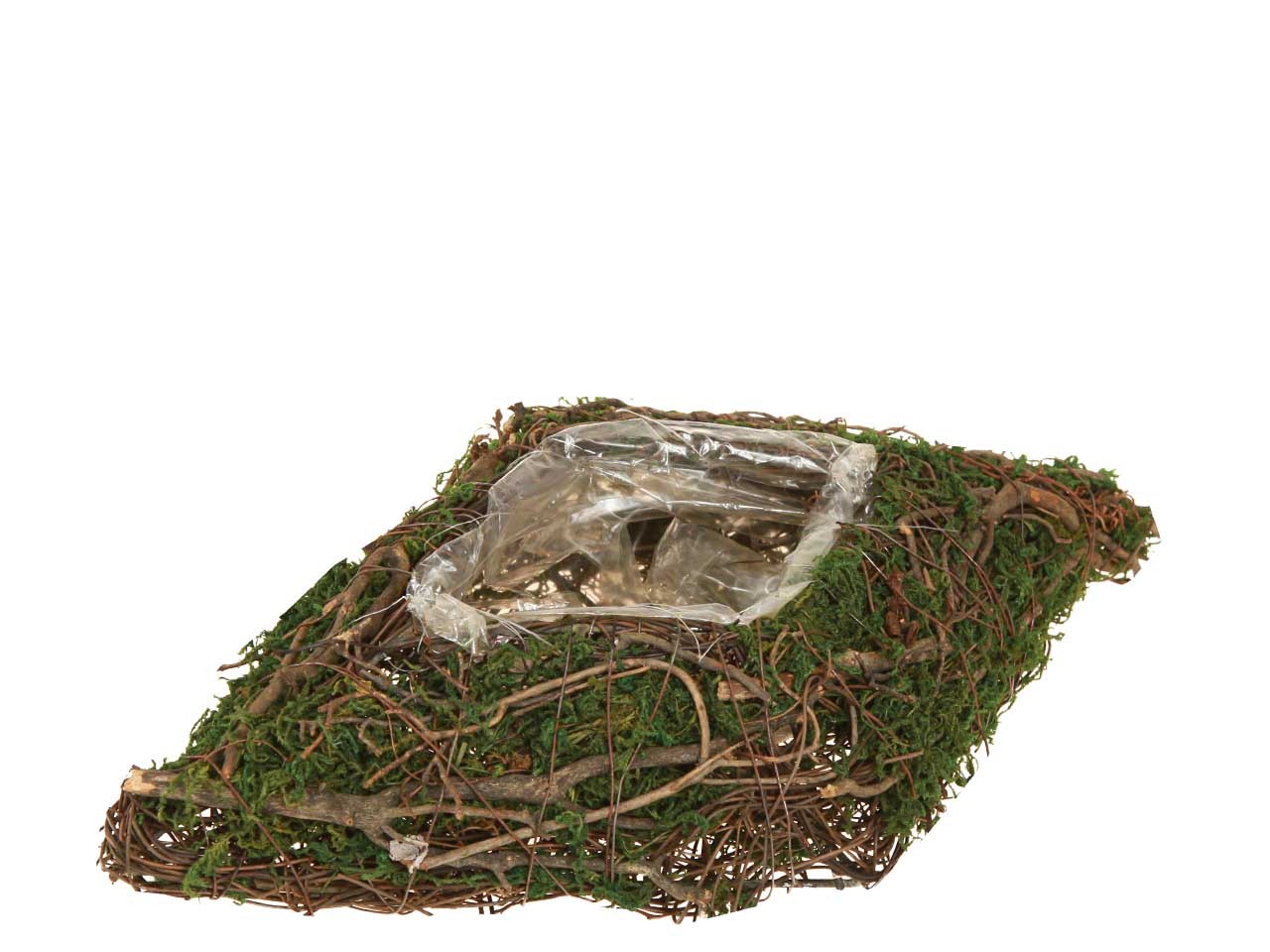 Raute z. Pflanzen Rebe-Moos L40x24cm