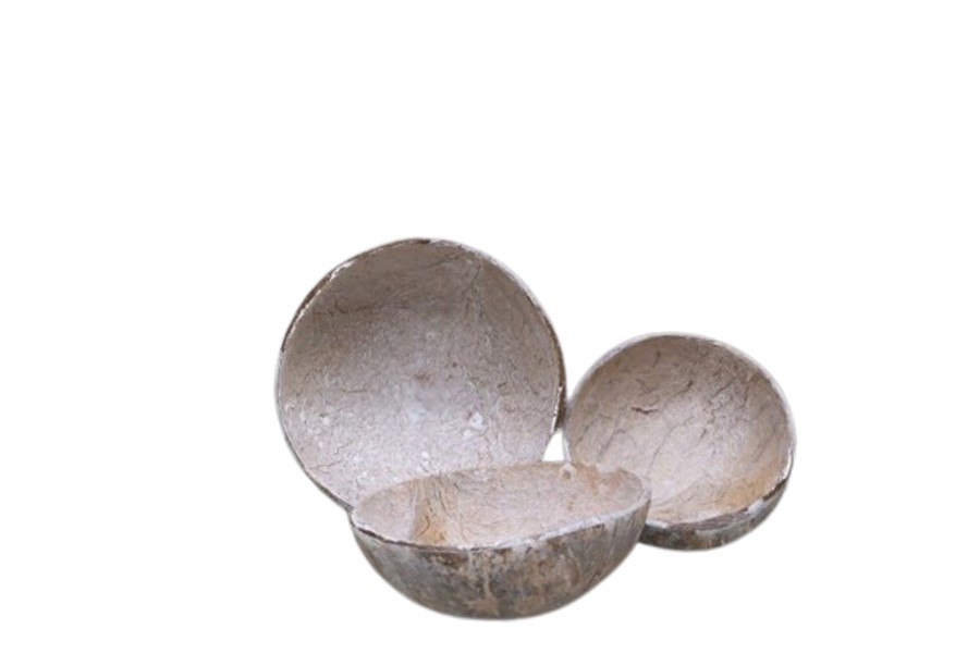 Cocosnussschale 12-14cm white washed