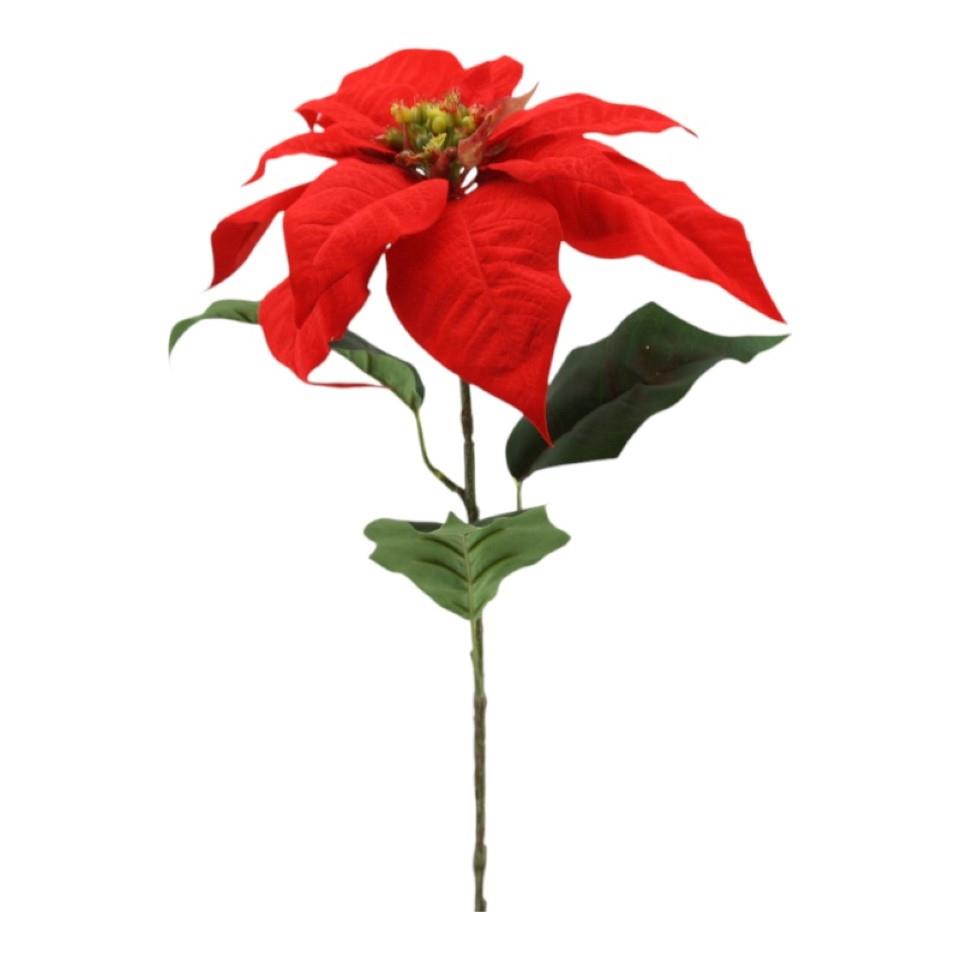 Poinsettia einstielig rot H74cm