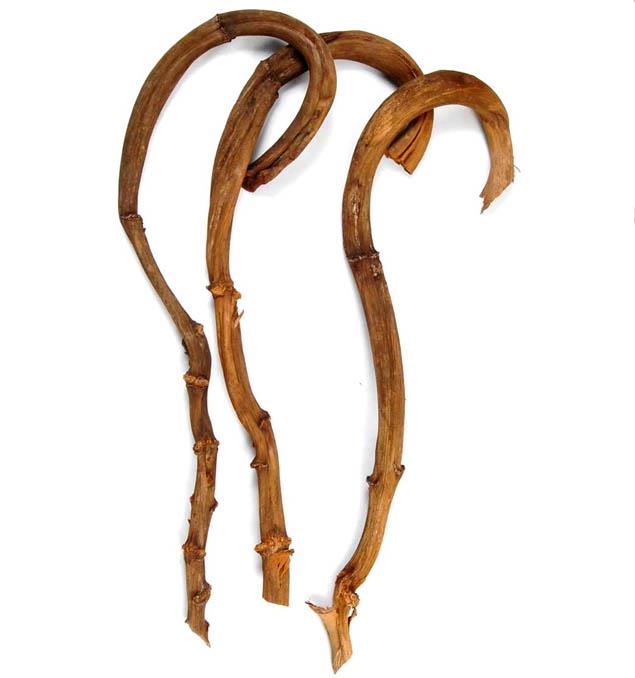 Hirtenstab D3-4 L60-80cm natur lackiert