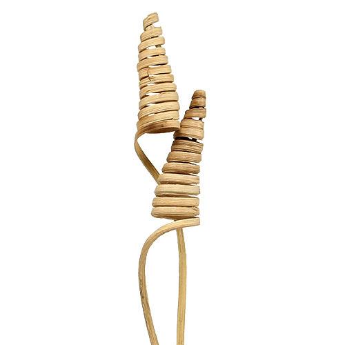 Cane Cone natur
