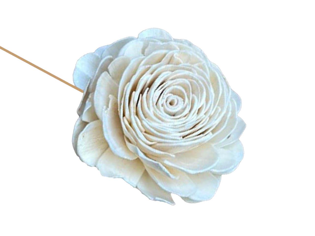 Rose Sola am Draht D10m natur-weiß