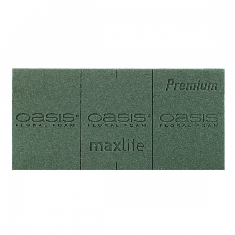 OASIS PREMIUM Frischblumensteckschaum  NETTO