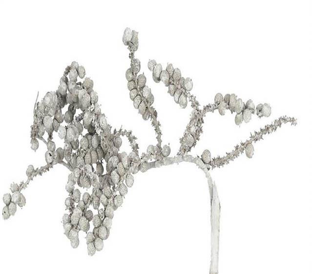 Canella spezial große Beeren white washed