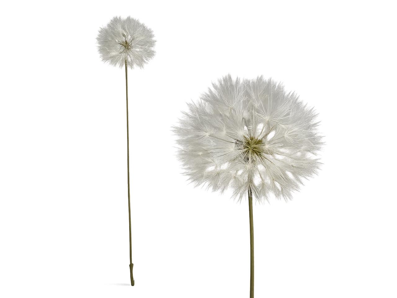 Pusteblume creme H68cm NETTO