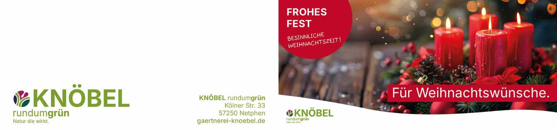 ekaflor Gutschein Frohes Fest