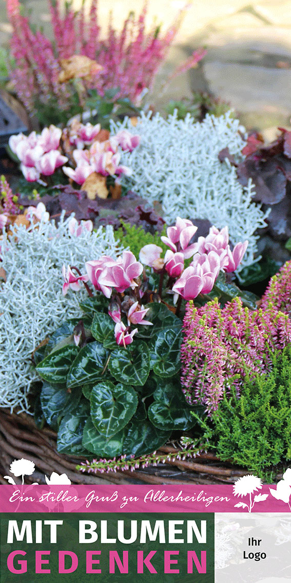 Roll-up Banner mit Ständer inkl. Druck