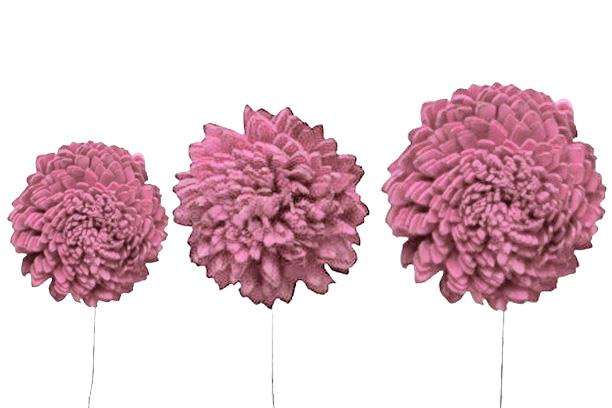 Zinie Sola am Draht 6+8+10cm sortiert je 12St. altrosa