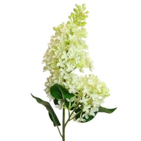 Flieder  soft touch  75cm creme