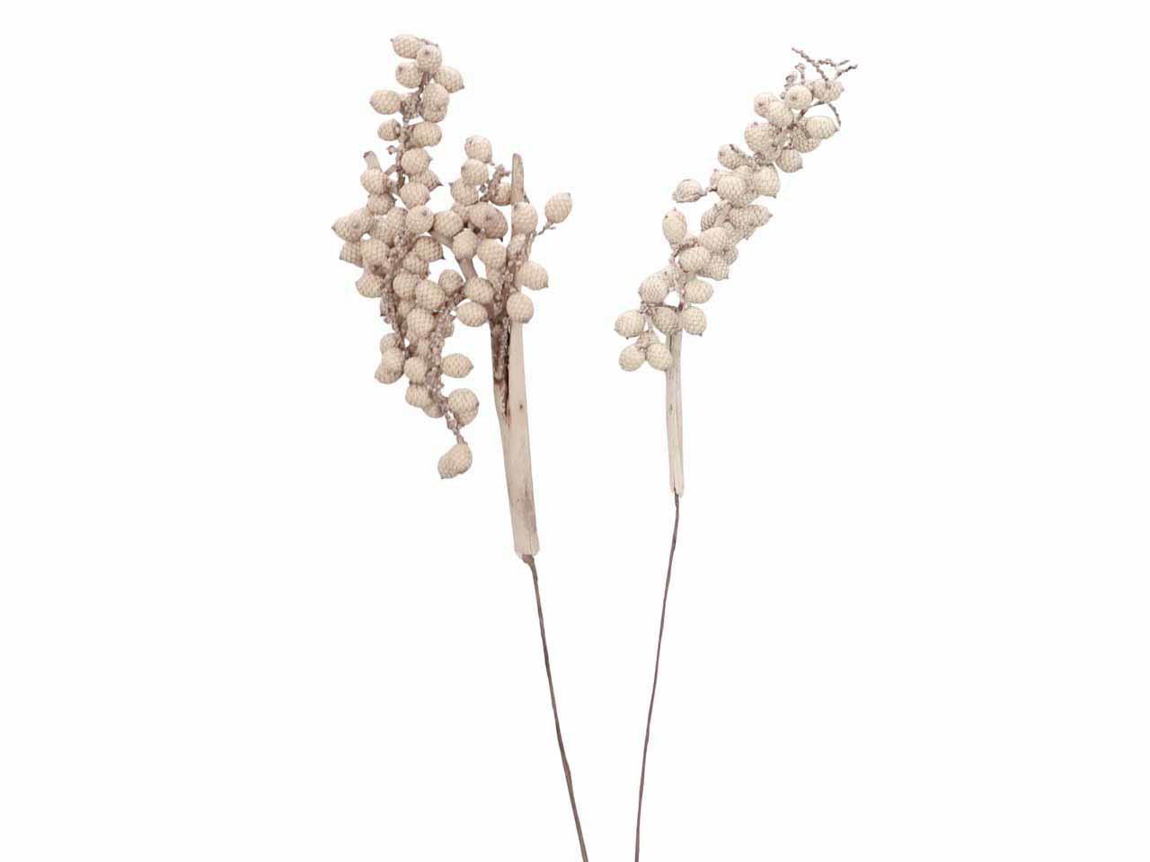 Canella extra am 30cm Drahtstiel white washed