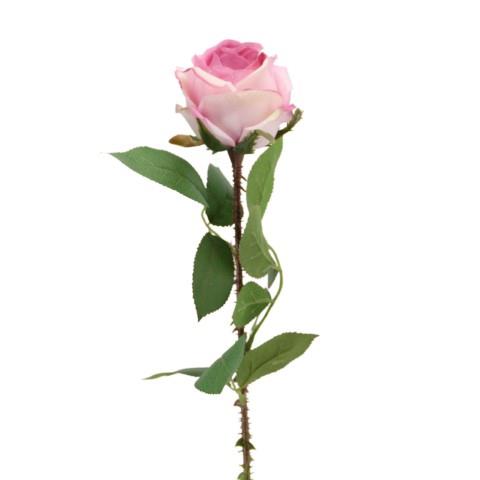 Rose m. Blättern 60 cm pink