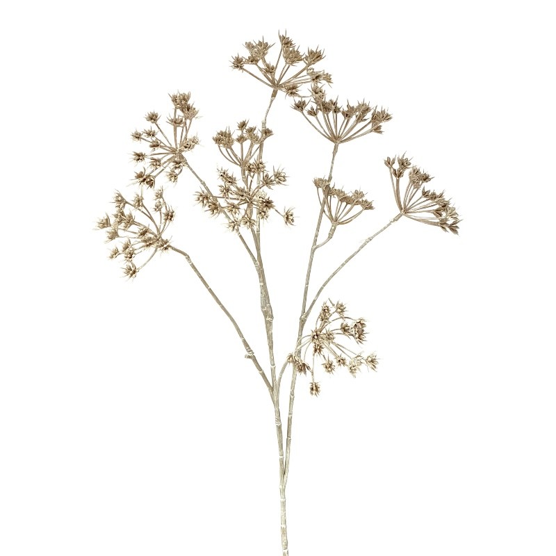 Wiesenkerbel 9Blüten weiß L76cm