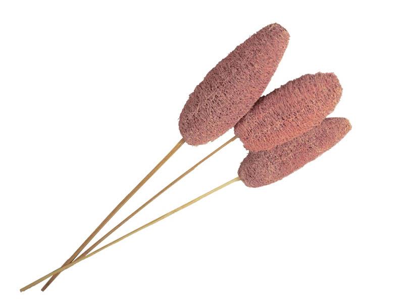 Luffa D4-6 H10-15cm gestielt altrosa