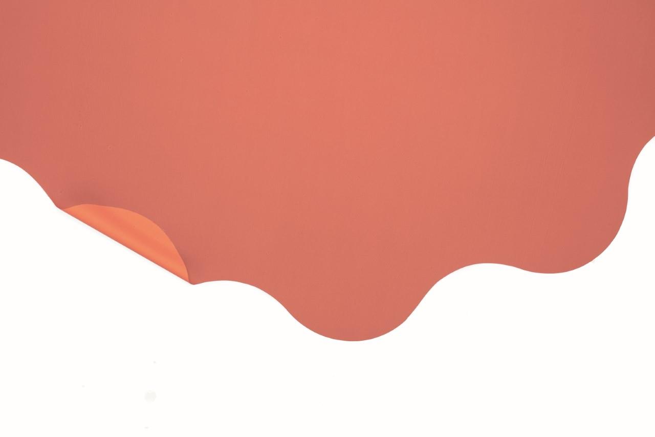 Rondella 60cm S-J06P1 BICOLOR  terra  -99