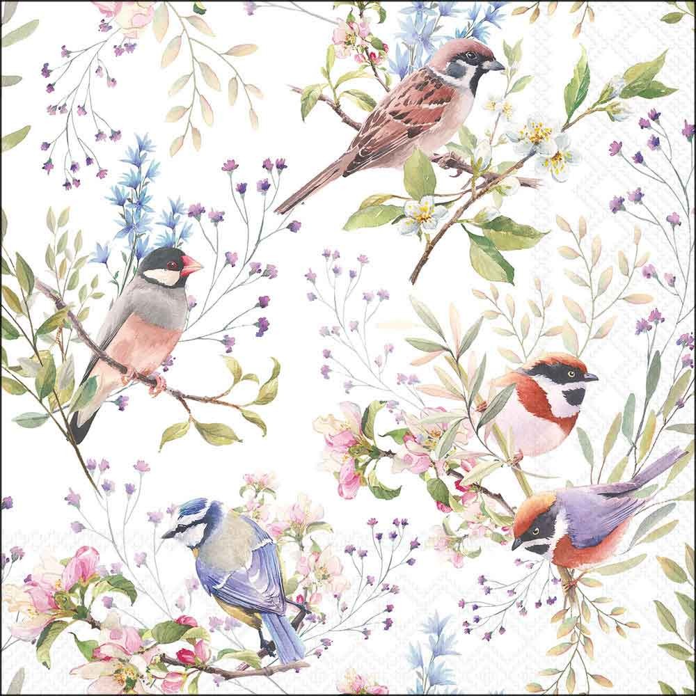 Serviette 33x33 cm Busy Birds